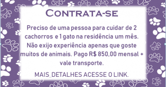 CONTRATA-SE PESSOA PARA CUIDAR DE 2 CACHORROS E 1 GATO!