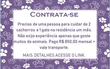 CONTRATA-SE PESSOA PARA CUIDAR DE 2 CACHORROS E 1 GATO!